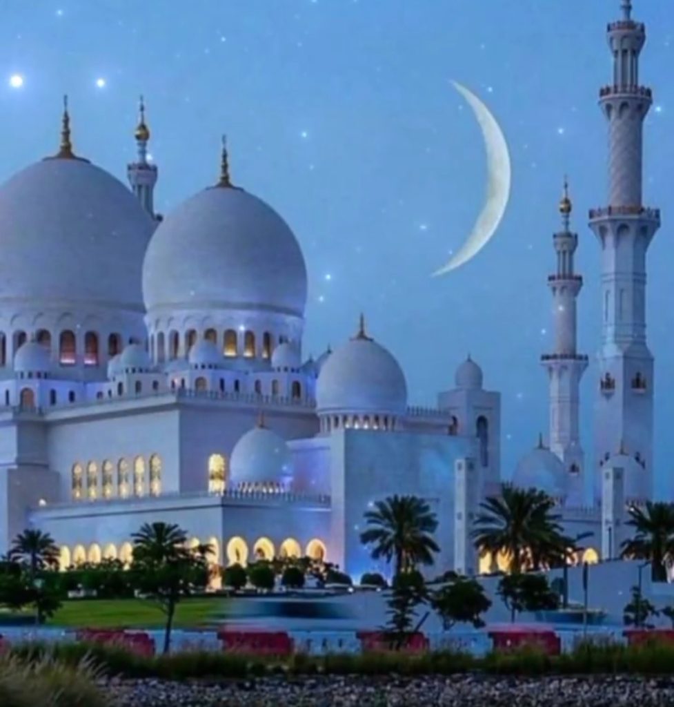 Screenshot_20241229_212524