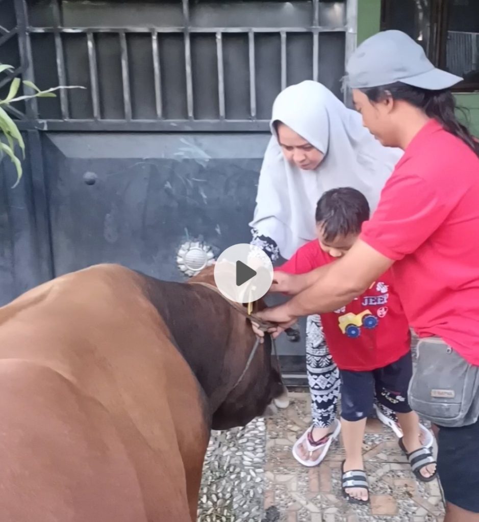 Screenshot_20250606_180340