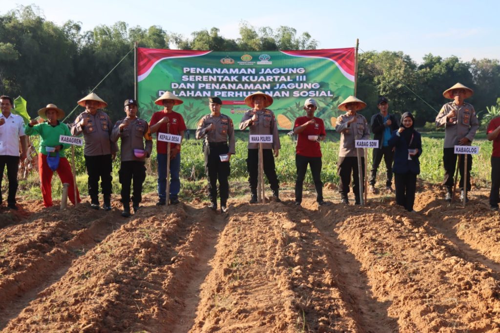 IMG-20250710-WA0052(1)