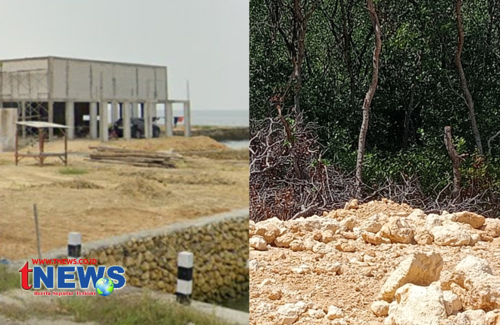 Logopit_1755402574878