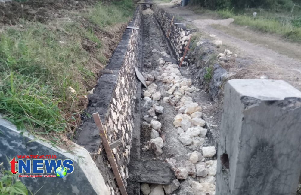 Logopit_1755485763550