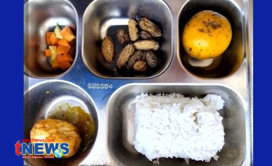 Logopit_1758960362535