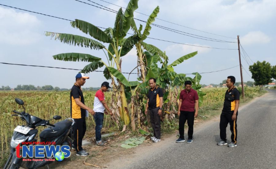 Logopit_1759492291756