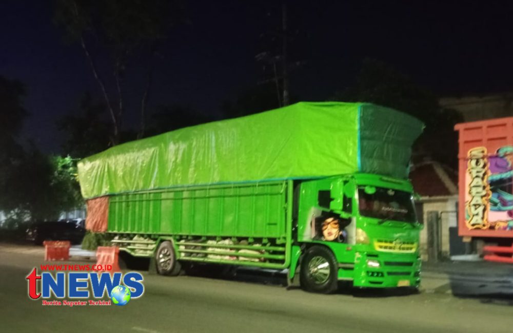 Logopit_1761882161776