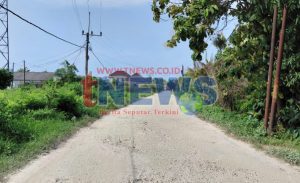 Logopit_1770096145213