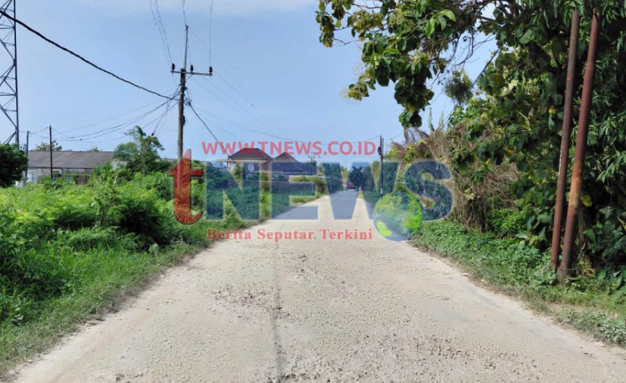 Logopit_1770096145213