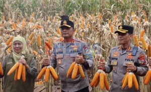 Logopit_1772346753628