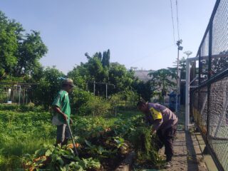 Dukung Ketahanan Pangan, Bhabinkamtibmas Rungkut Kidul Sambangi Poktan