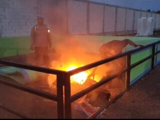 Polresta Sidoarjo Bongkar Lokasi Diduga Sabung Ayam di Klurak Candi 