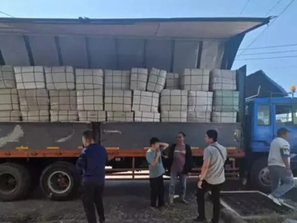 Diduga Tempat Penyimpanan Ganja Jaringan Internasional di Cerme Gresik Dibongkar BNN RI