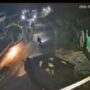 Polres Pasuruan Amankan Tiga Tersangka Kasus Pencurian Sapi di Tutur