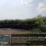 Aktivitas Sedot Pasir di Sungai Brantas Blitar Jadi Sorotan, Legalitas Dipertanyakan Warga Minta Pengawasan Diperketat