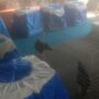 Adu Sabung Ayam Desa Klurak Kembali Beroperasi Diduga Milik Oknum APH