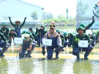 Polres Gresik Bersama Forkopimda dan PT Smelting Tanam 10.000 Mangrove di Randuboto, Jaga Ekosistem Pesisir