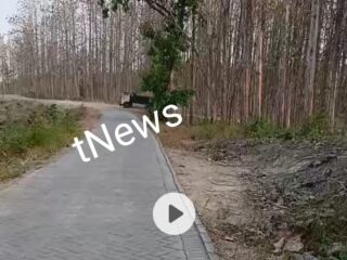 Lembah Jurang Mengerikan Galian C Ada di Desa Katemas Kudu Jombang Tetap Beroperasi