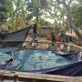 Respons Cepat Dumas Masyarakat, Polres Nganjuk Bongkar Dua Lokasi Sabung Ayam
