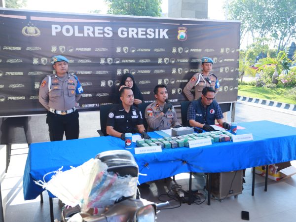 Respon Cepat Satresnarkoba Polres Gresik, Aduan Warga Lewat 110 Berhasil Temukan 10,8 Kg Ganja Dalam Vespa 