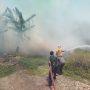 Kebakaran Lahan di Merauke Kembali Terjadi, PMK Kodaeral XI Bergerak Cepat Padamkan Api