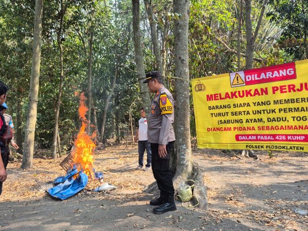 Respon Cepat Aduan Masyarakat, Polres Kediri Bongkar Arena Sabung Ayam di Plosorejo