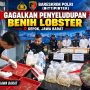 Bareskrim Polri Ungkap Penyelundupan 73 Ribu Ekor Benih Lobster